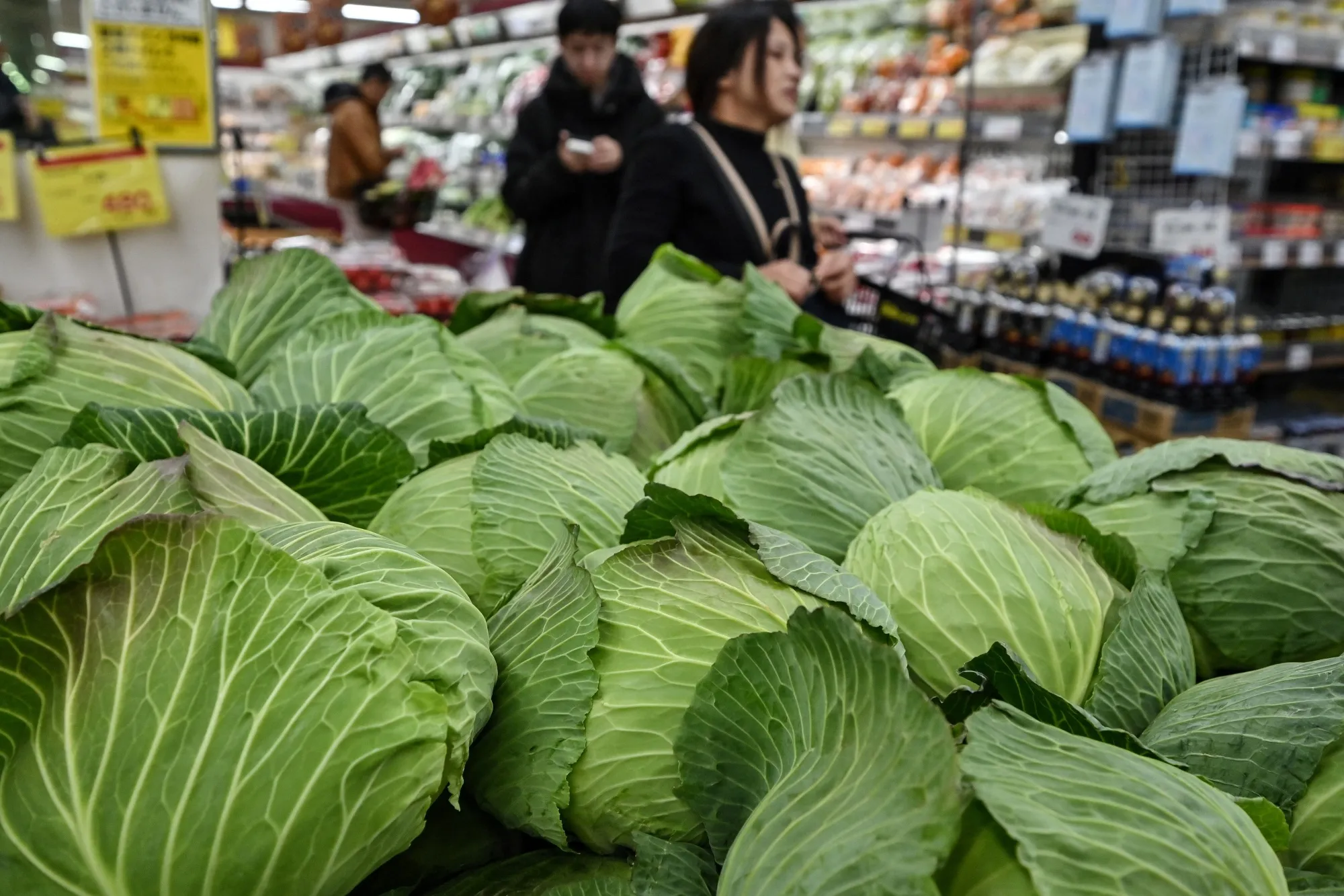Cabbages displayed for sale at a supermarket in Tokyo.