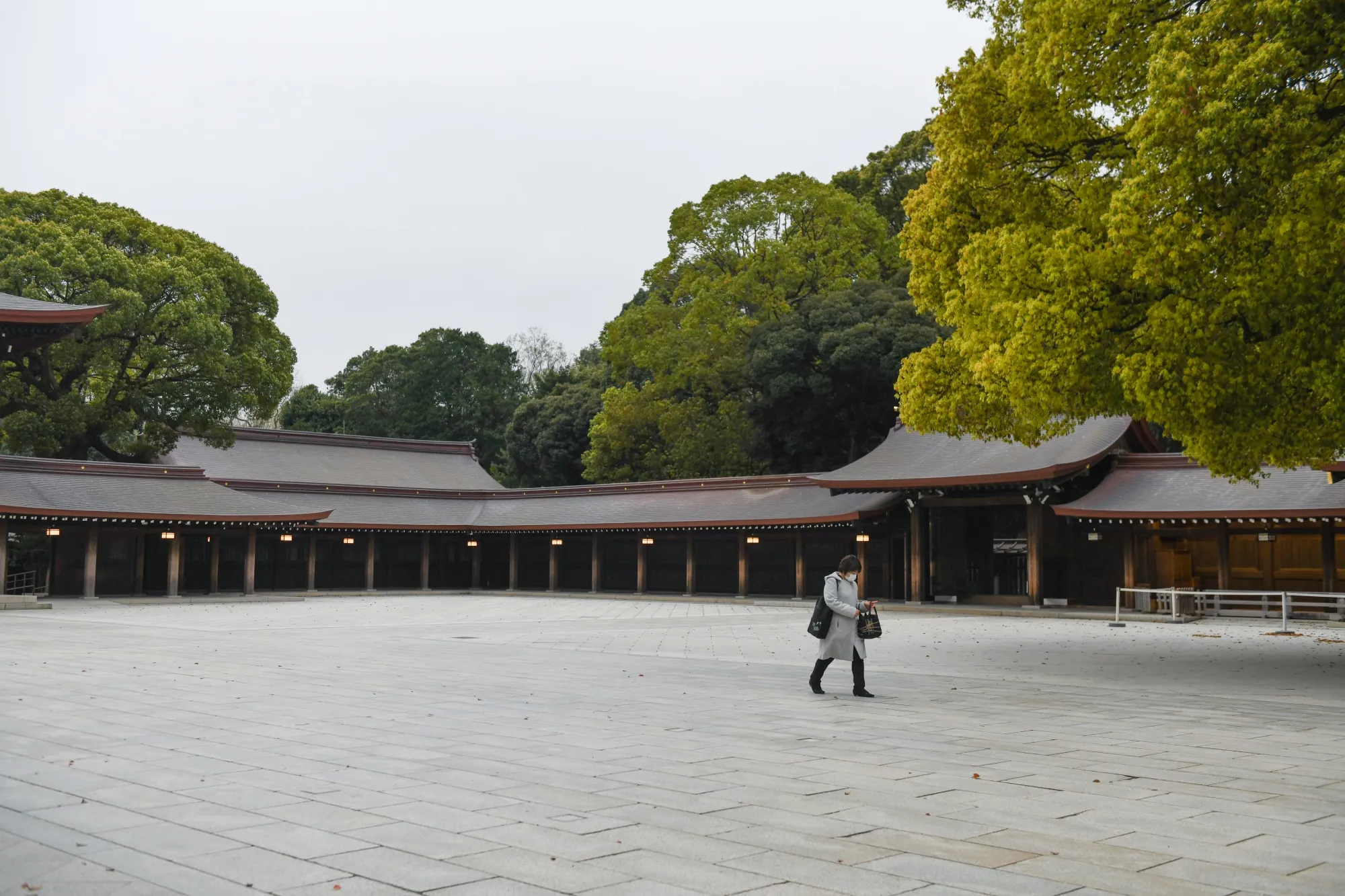 A pedestrian walks in the empty Meiji shrine in Tokyo, March 28.