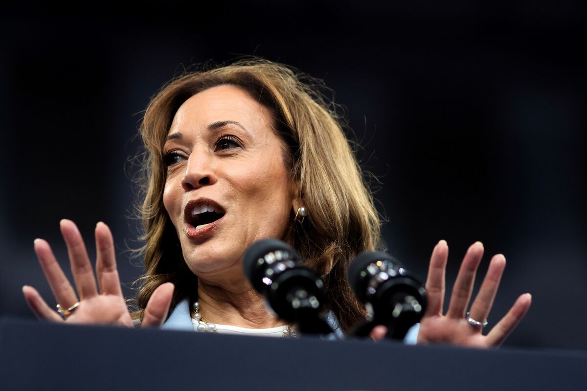 Kamala Harris VP Pick: Harris to Pick Running Mate in Crucial Week ...