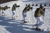 A line of US soldiers, dressed in green and white camouflage, aim at targets during a live-fire exercise at the Northern Warfare Training Center in Alaska.