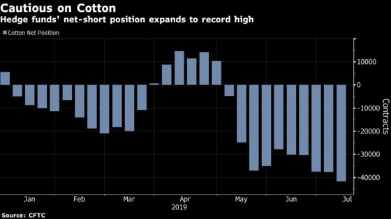 Hedge Funds Make Record Bearish Cotton Bet Before Prices Tumble