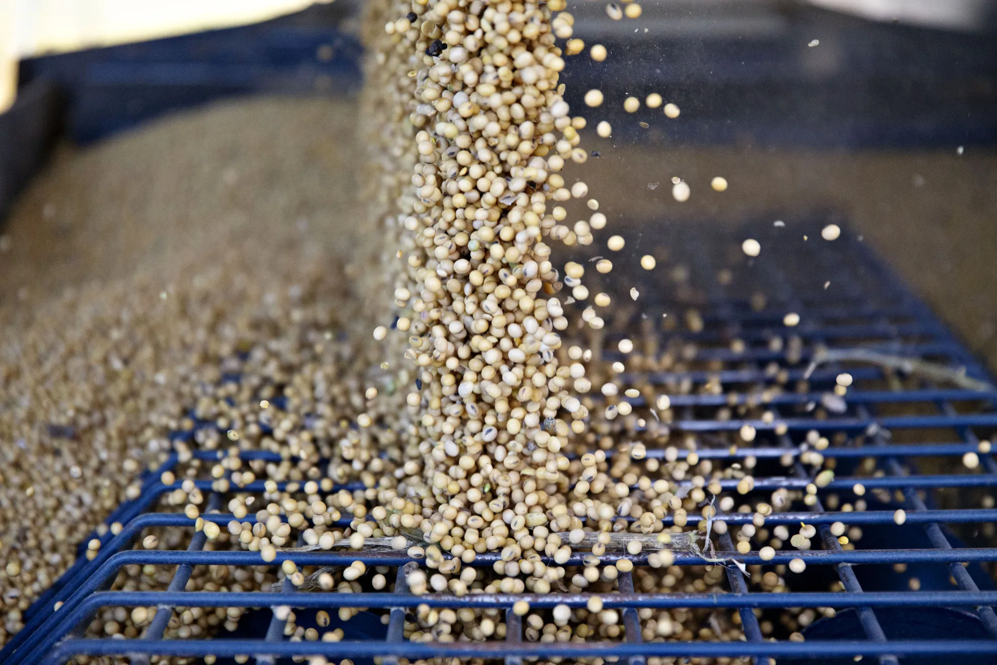 Operations During Corn And Soybean Harvests As New Nafta Secures Some Exports