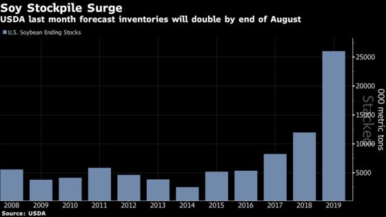 U.S. Farmers Rue China's Return to Soybean Market as ‘Drop in the Bucket’