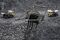 Excavations at Mechel PJSC's Krasnogorsky Coal Mine