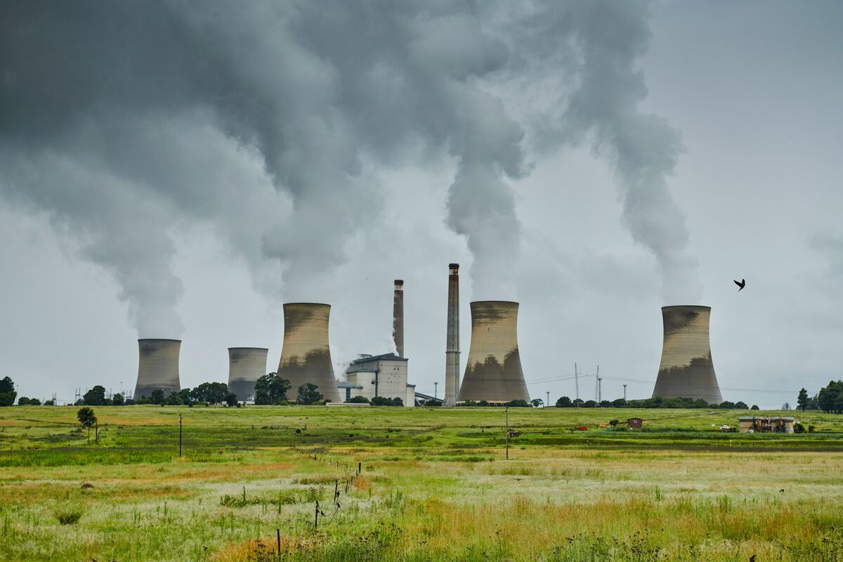 South Africa Lays Groundwork for Debut Sovereign Green Bond