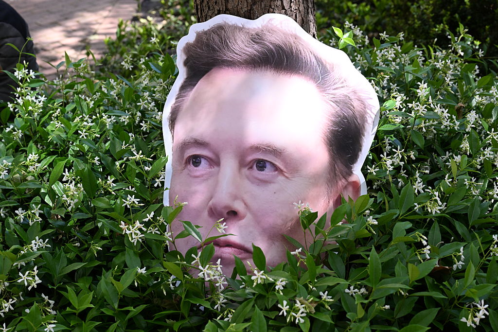 Image associated with story "A Troubling Glimpse into an AI Musktopia"
