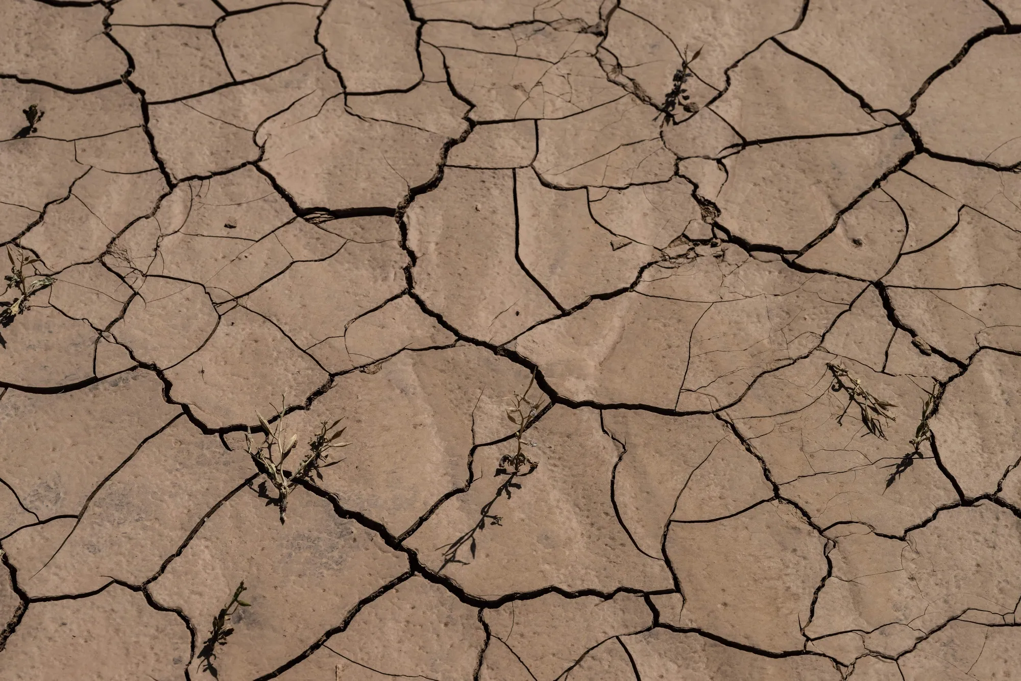 Dry earth in the Sahara desert, Morocco, in April.