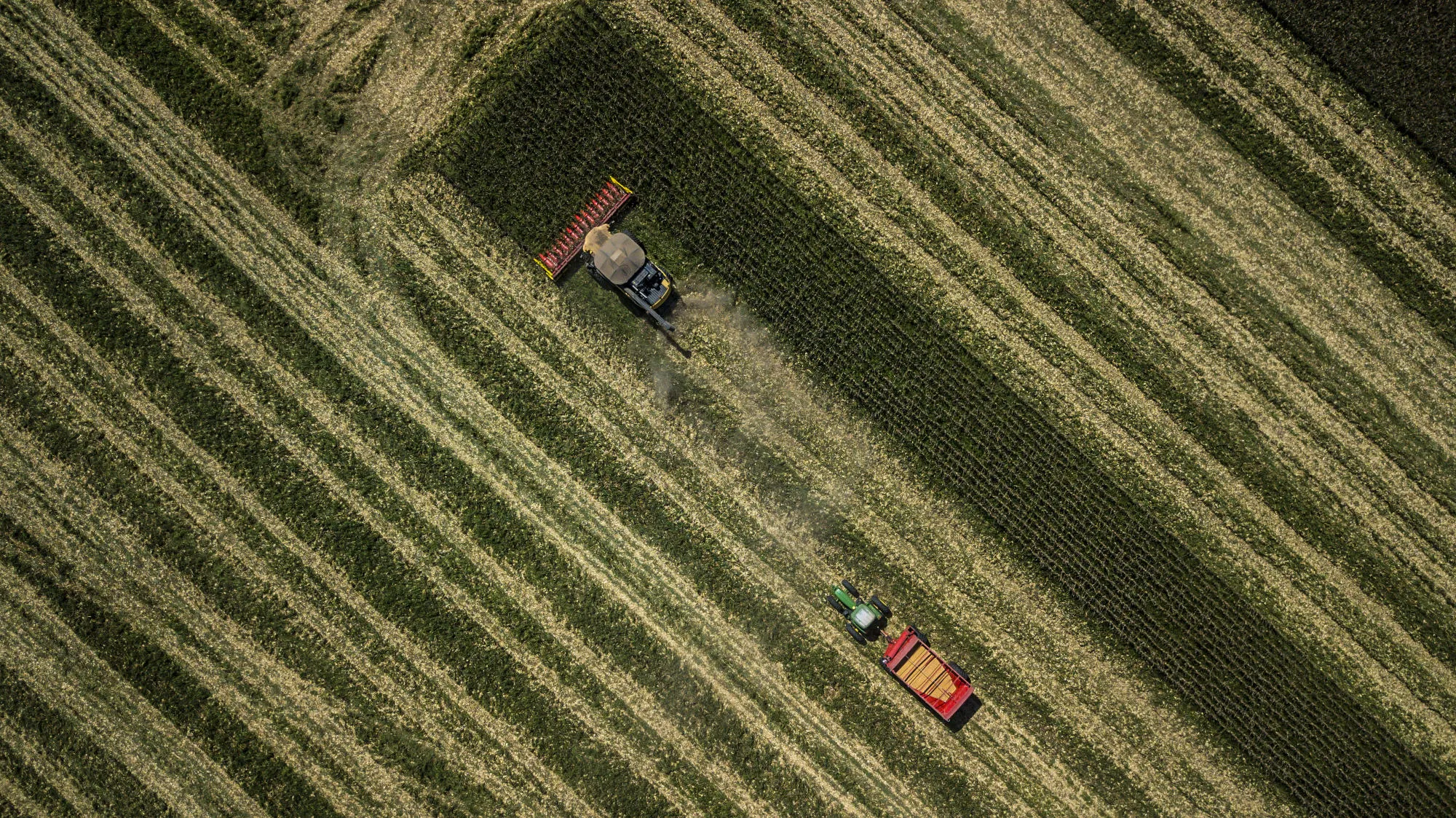 Latin American Land Owners Are Fighting To Keep Power Lines Out 