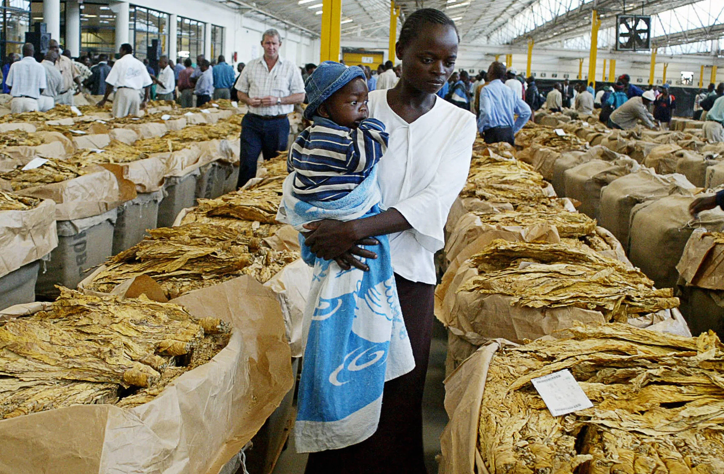 Zimbabwe Plans Gold, Tobacco Diaspora Bonds as Bank Rules Change
