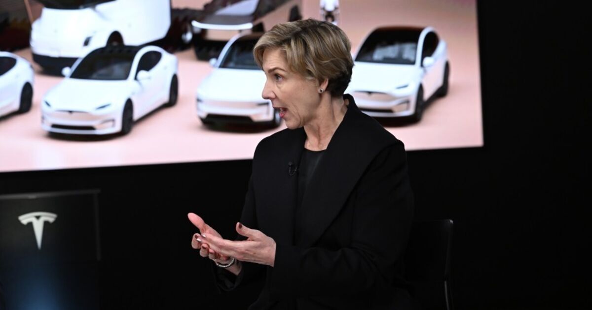 Musk Succession Plan Is in Place, Tesla Chair Denholm Says