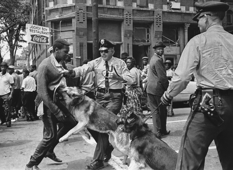 Police dogs attack a young civil rights protester in Birmingham, Alabama, in 1963.