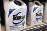 Monsanto Charged $2 Billion In Damages For Weed Killer Roundup Cancer Lawsuit