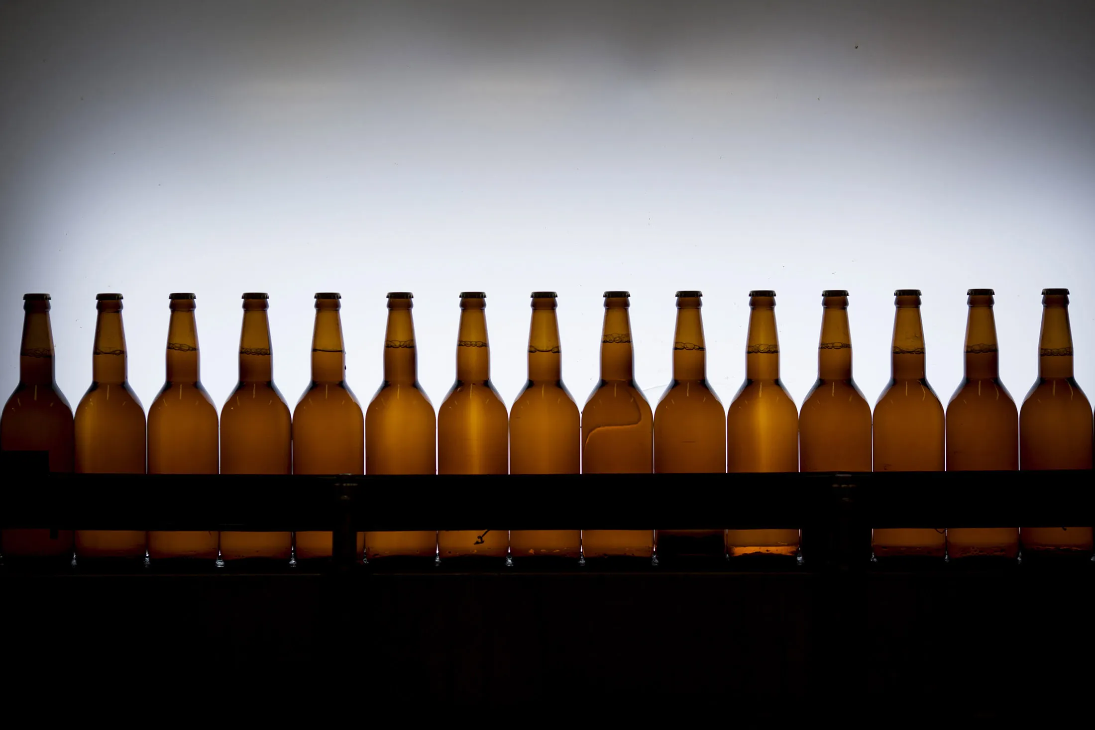 Bottles of beer are illuminated to check volume levels on the bottling line.
