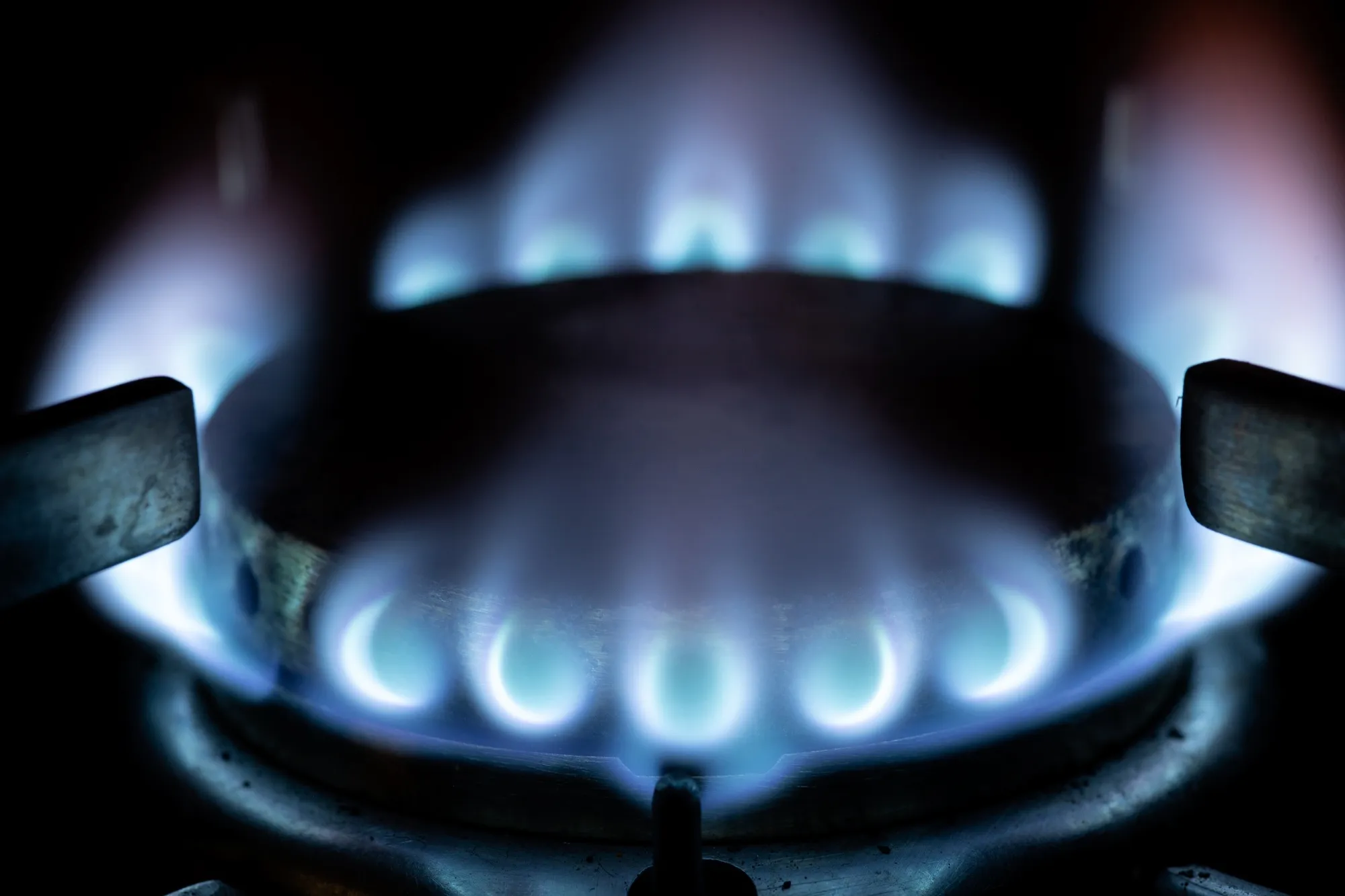 Natural gas burns on a domestic kitchen stove.