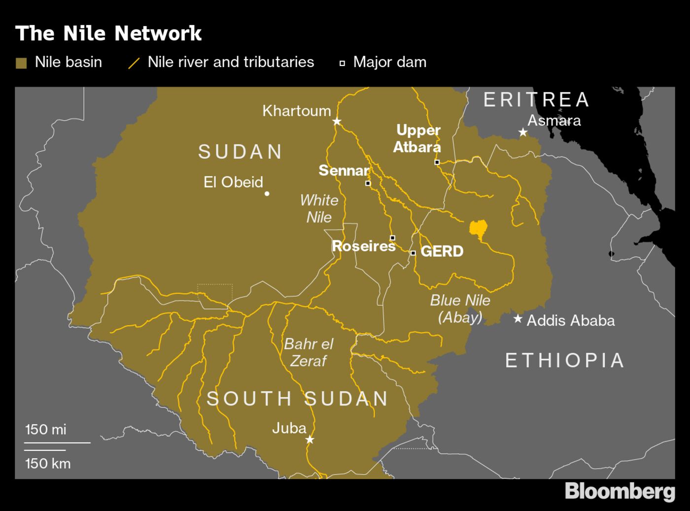 The Nile Network