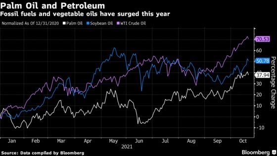 Palm Oil Suffers Reversal on Outlook for Higher Malaysian Output