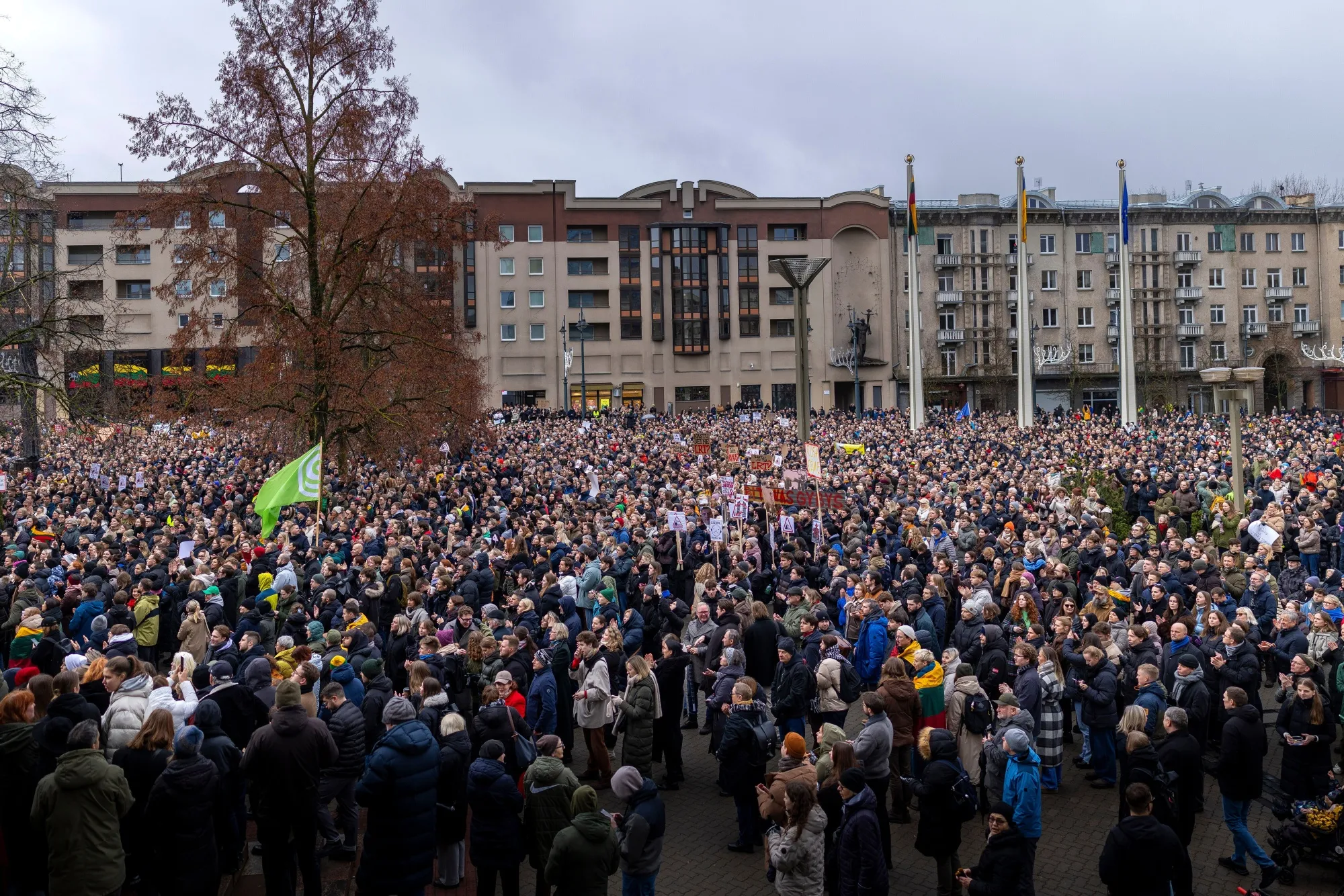 A protest&nbsp;outside parliament in Vilnius, Lithuania, in December.