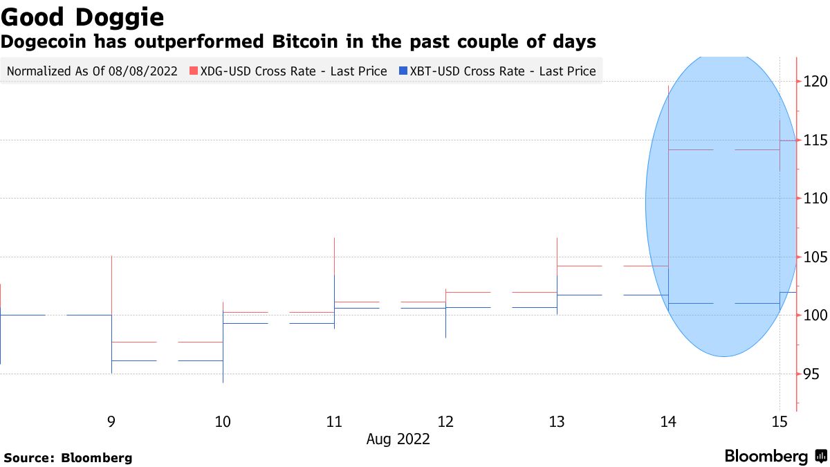 ドージコインやシバイヌ上昇－イーサリアムのアップグレードを楽観 - Bloomberg
