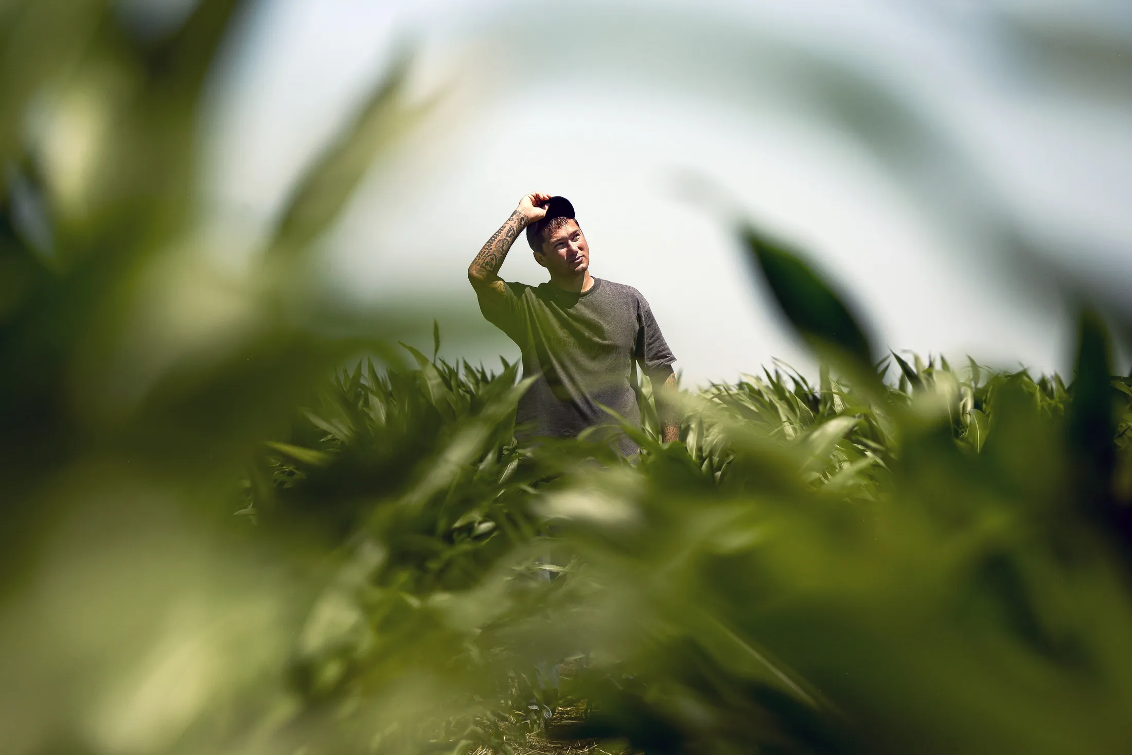 Stefan Soloviev in one of his corn fields near the Kansas-Colorado border.