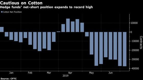 Cotton's Crash Looks Set to Deepen as Stockpiles Keep Growing