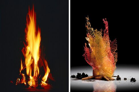 A detail from Adrià's Nature, highlighting his creative process.
