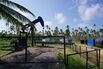 TRINIDAD &amp; TOBAGO-VENEZUELA-OIL-DIPLOMACY