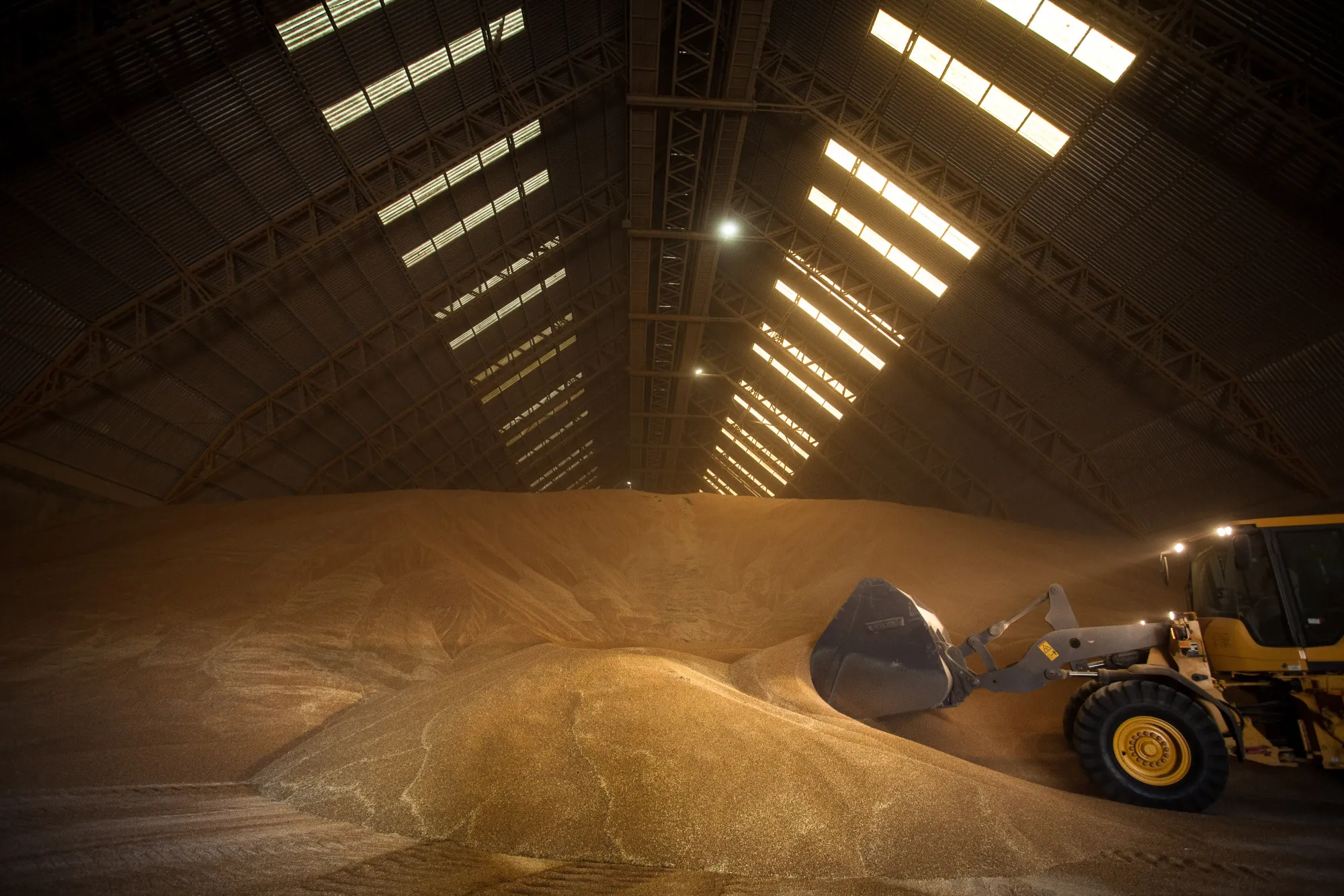 A truck piles wheat inside the storage facility in Sante Fe, Argentina.