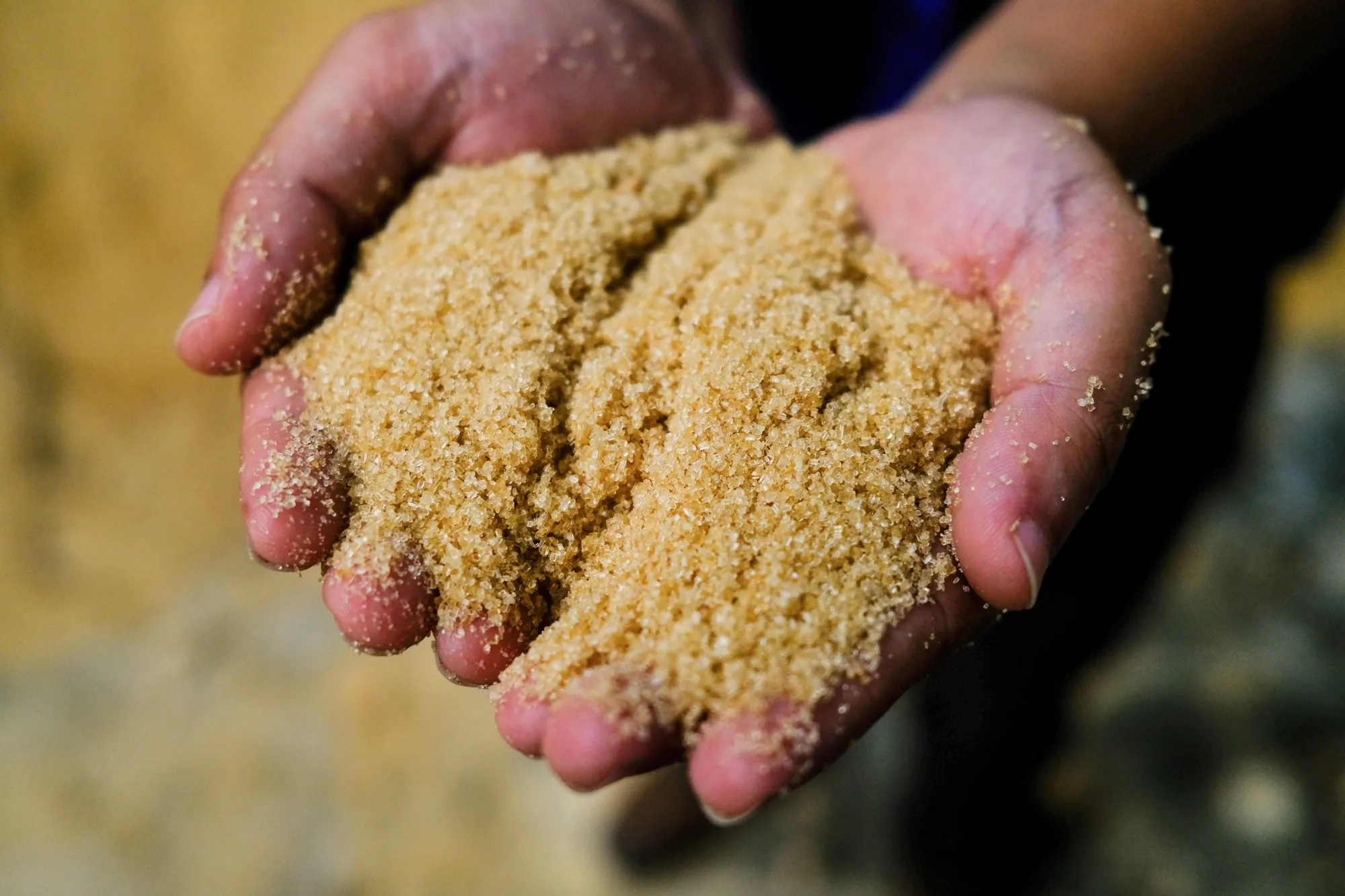 Raw sugar.