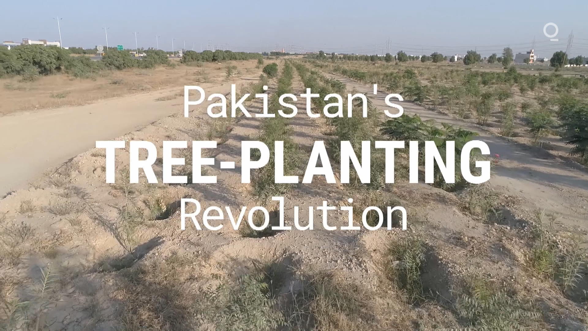 Watch Pakistan's TreePlanting Revolution Bloomberg