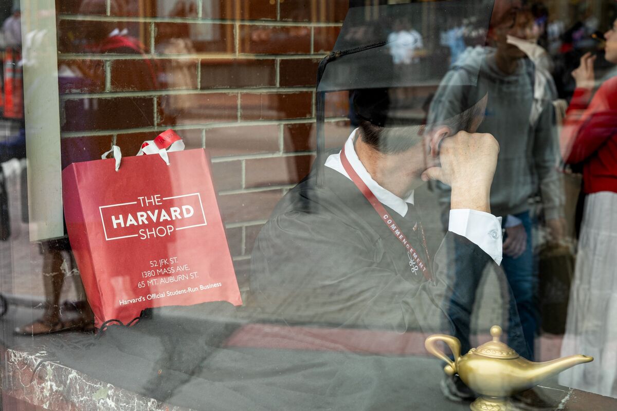 Harvard and Yale Will Finally Lift the Veil on Private Assets - Bloomberg