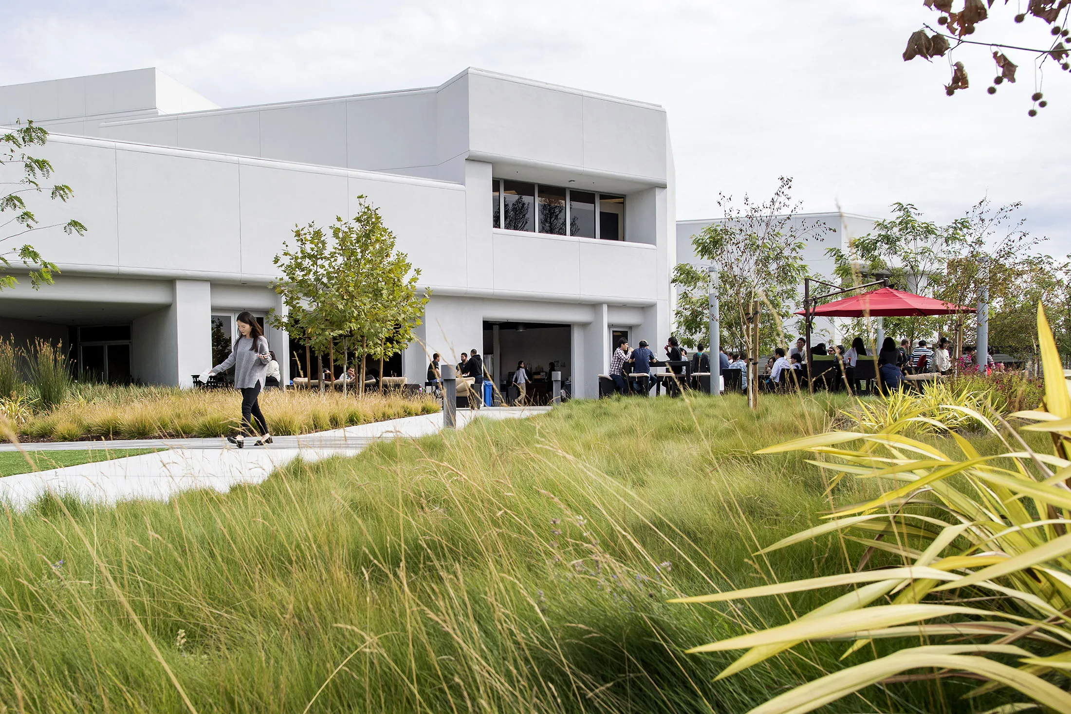 The LeEco Global Group headquarters in San Jose.
