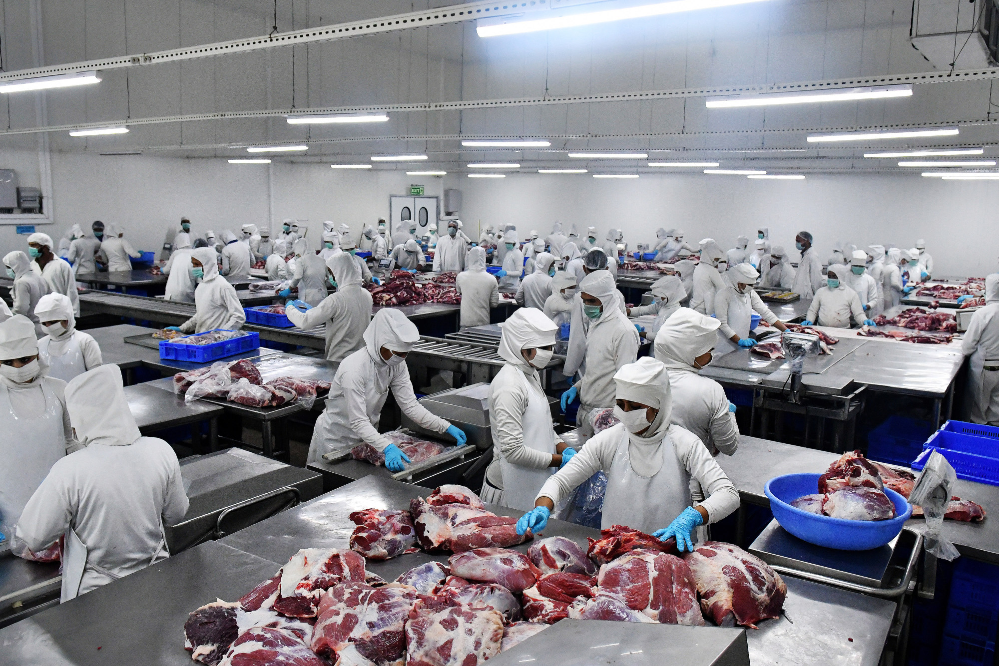 A 2 Billion Illicit Meat Market Is Damaged by Pig Virus Bloomberg
