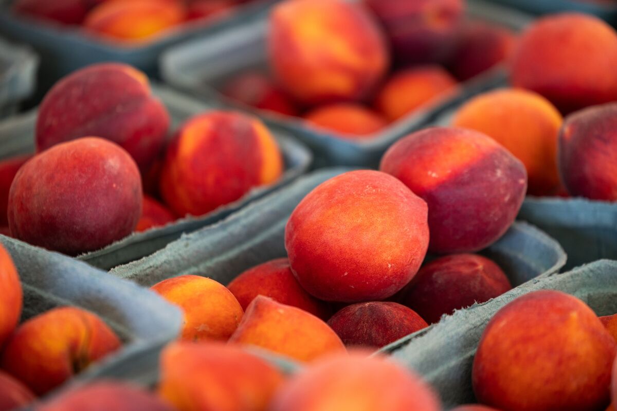 South Africa Signs Trade Protocol to Export Stone Fruit to China