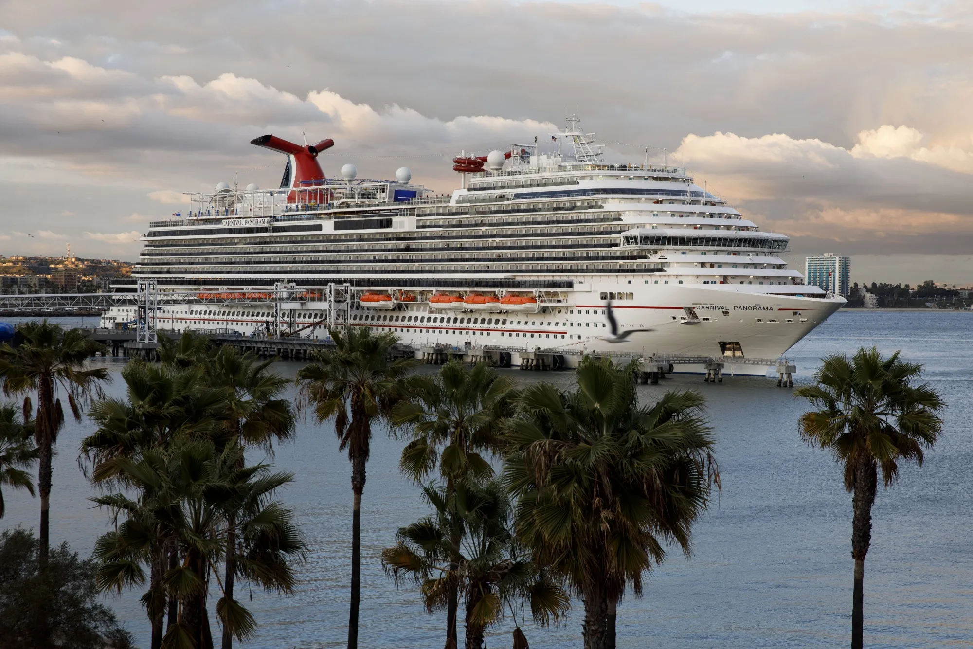 The cruise industry has emerged as the popular option for cost-conscious vacationers looking for something more affordable than a typical trip.