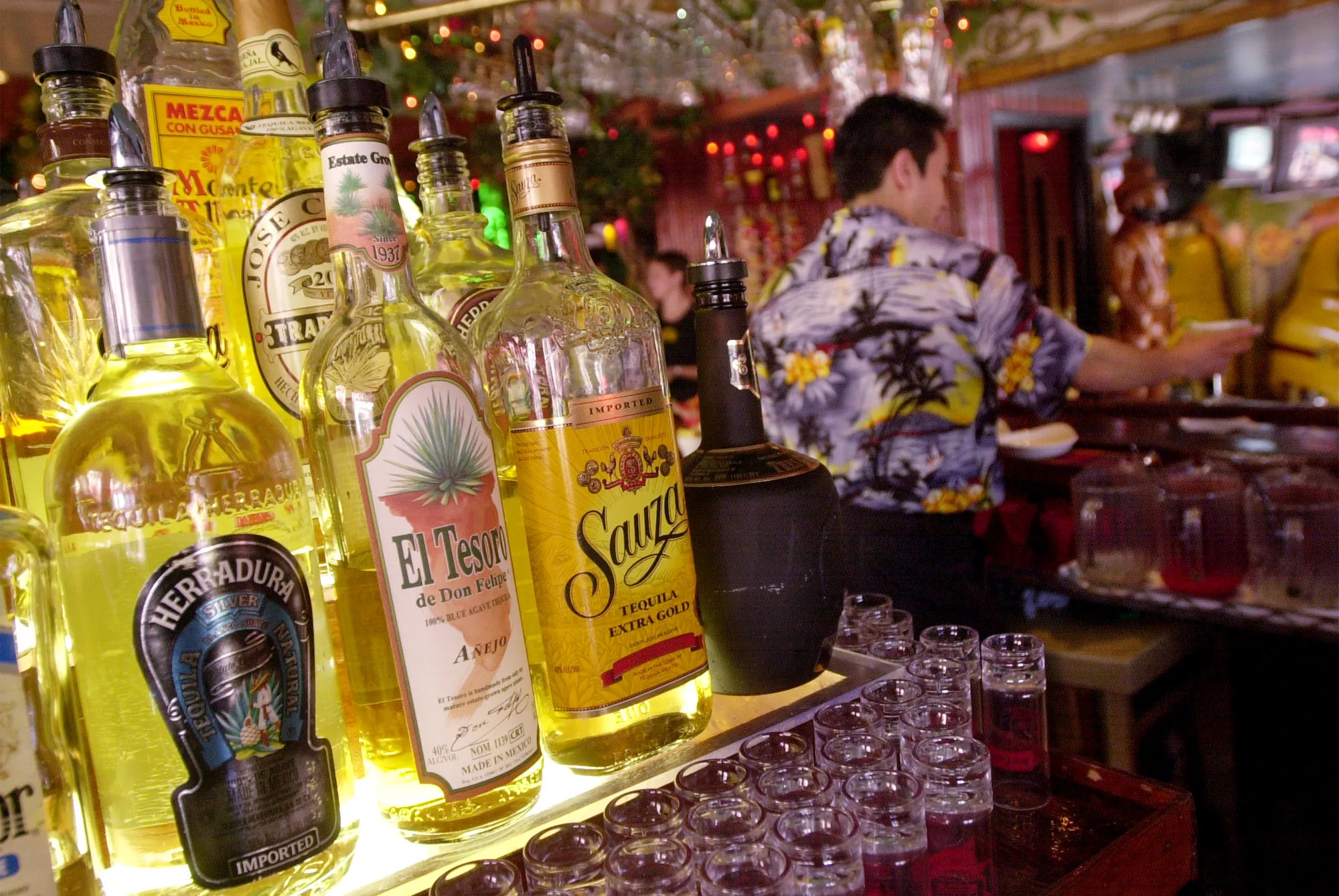 Mexico May Halt Tequila Production