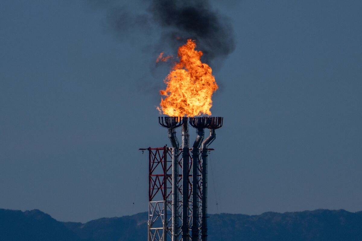 Canada Seeks LNG Supply Cooperation With Germany, Poland