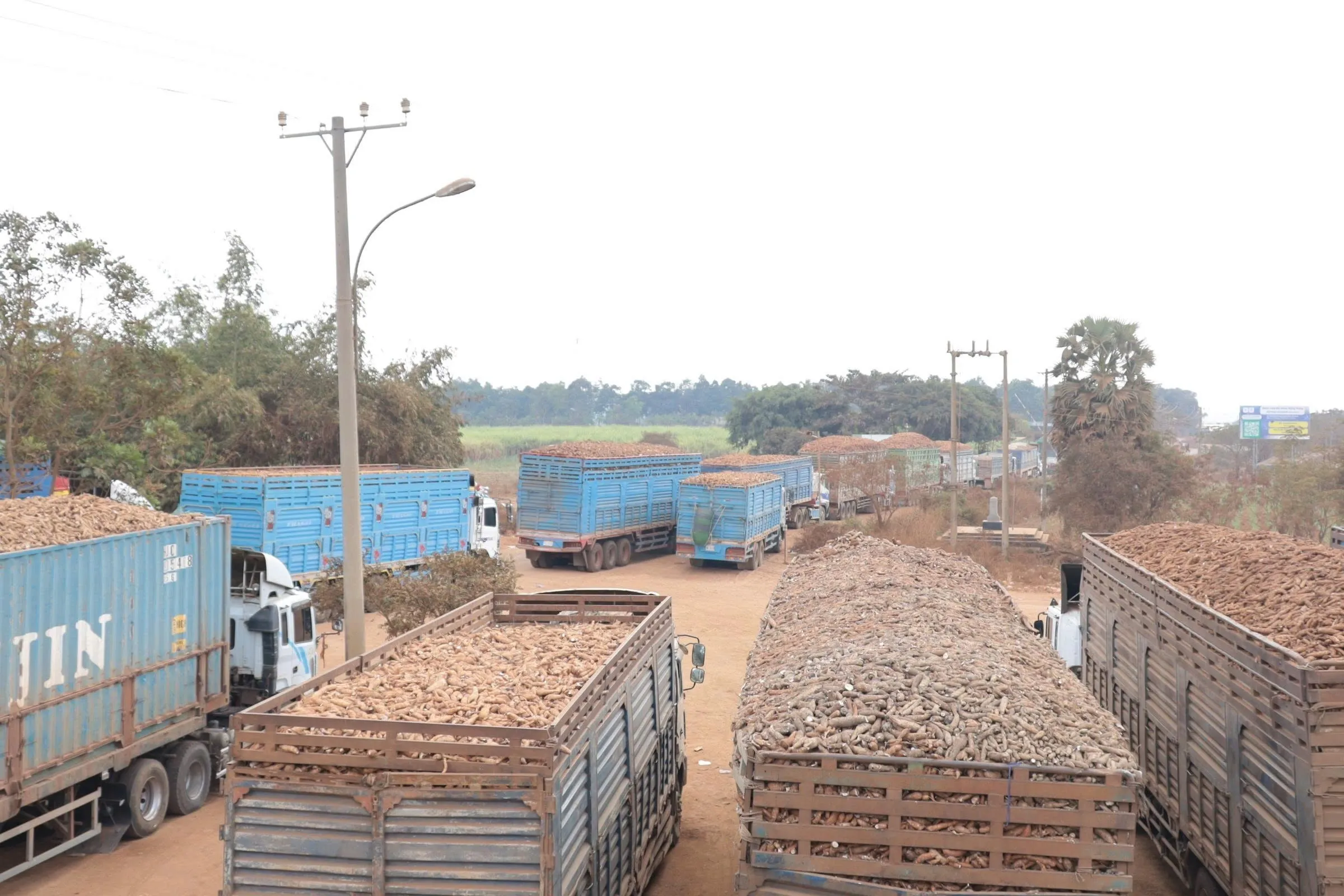 Delivery trucks backed up after the government rushed out new food safety rules at Vietnam’s Chang Riec border crossing on Jan. 31.