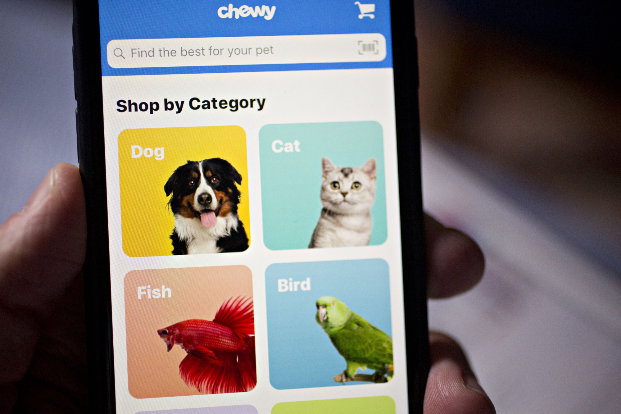 Chewy hotsell petsmart acquisition