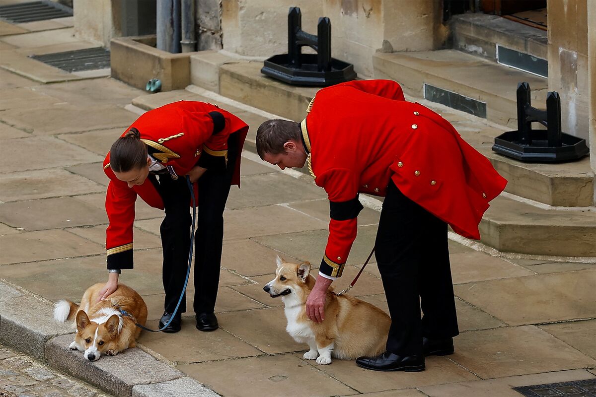 Queen Elizabeth's Pony Watch Funeral at Windsor Castle - Bloomberg