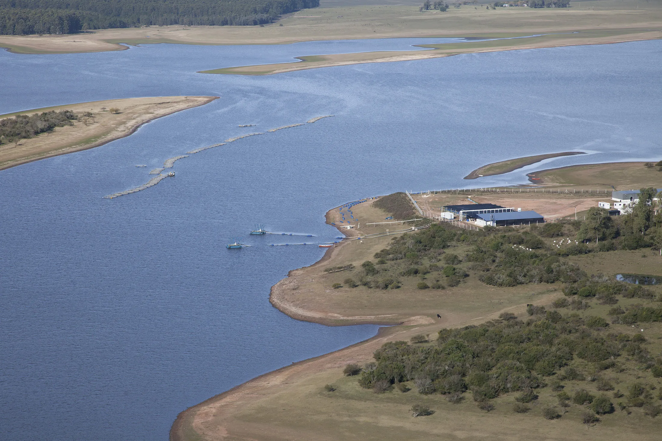 Caviar Polanco’s sturgeon farm and processing facility on the Black River in central Uruguay.