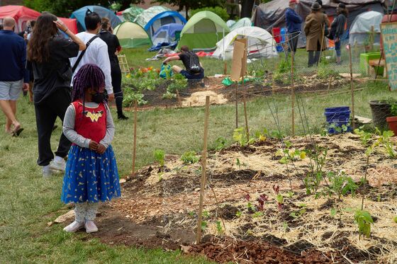 Community, Not Anarchy, Inside Seattle’s Protest Zone