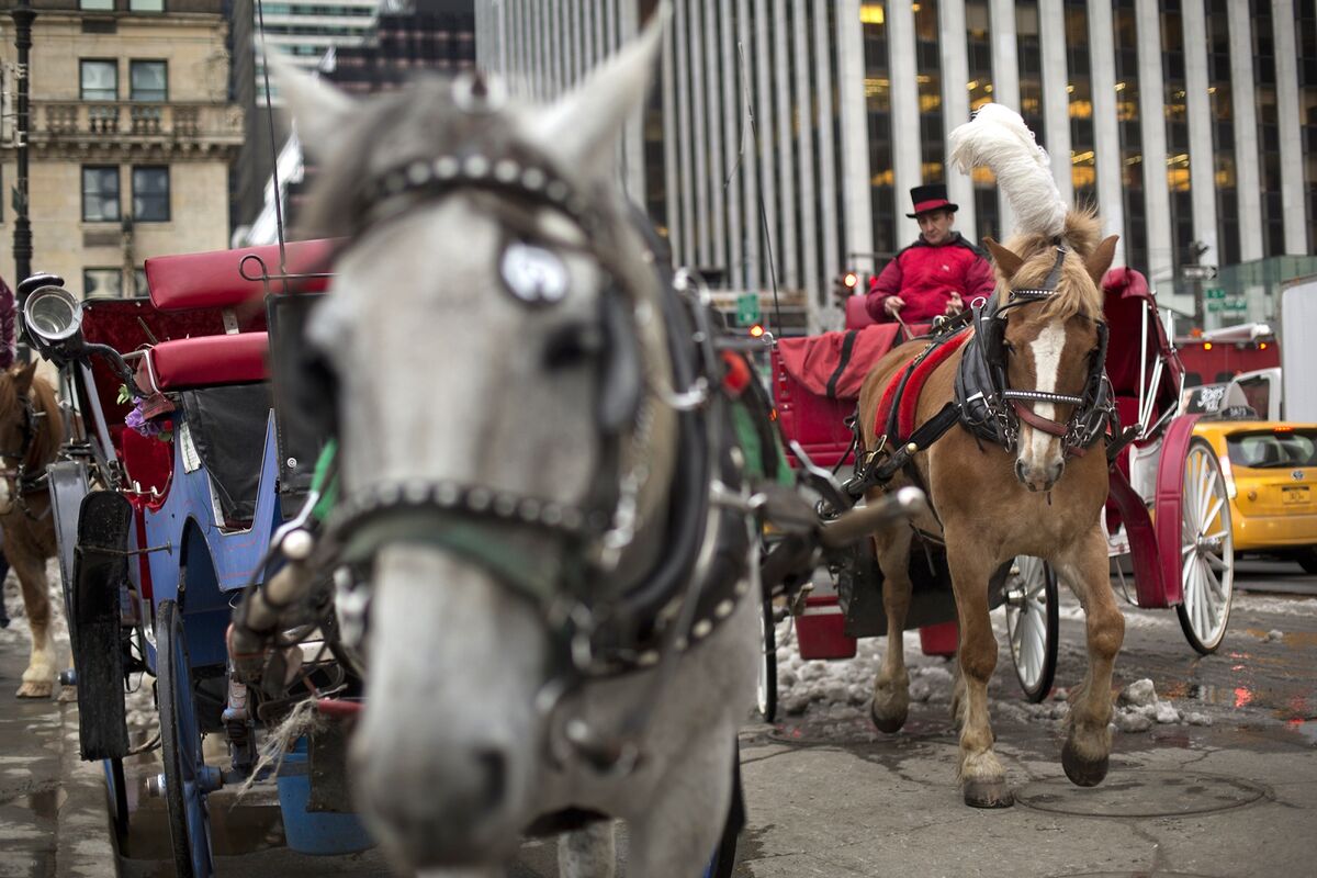 Mamdani and NYC Council Reach Deal to Ban Horse-Drawn Carriages
