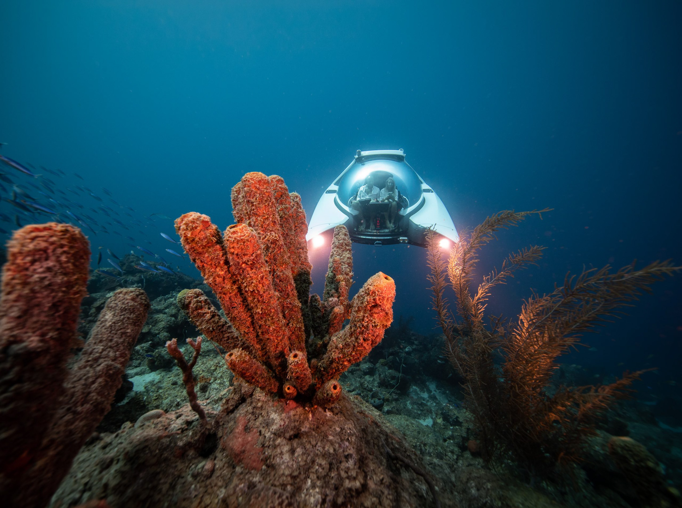 Will the Titanic Sub Disaster Tank the Submersible Tourism