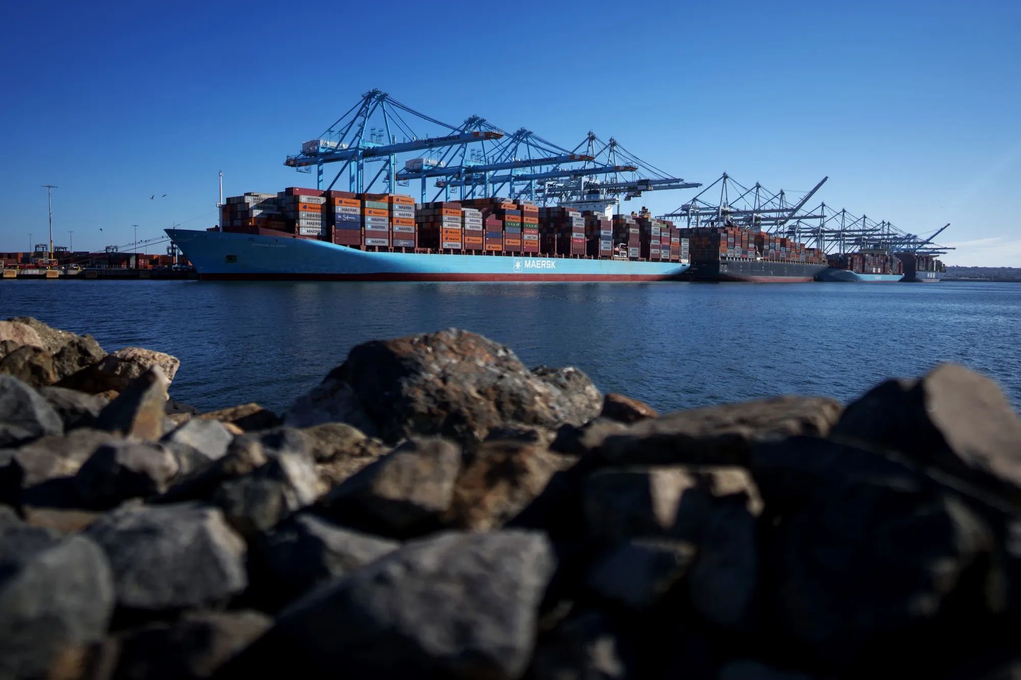 Container ships at the APM Maersk Terminal at the Port of Los Angeles in July 2025.