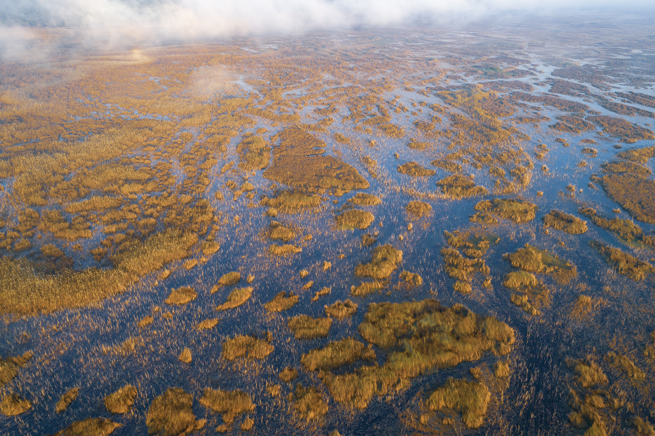 The Cuando River in Angola.