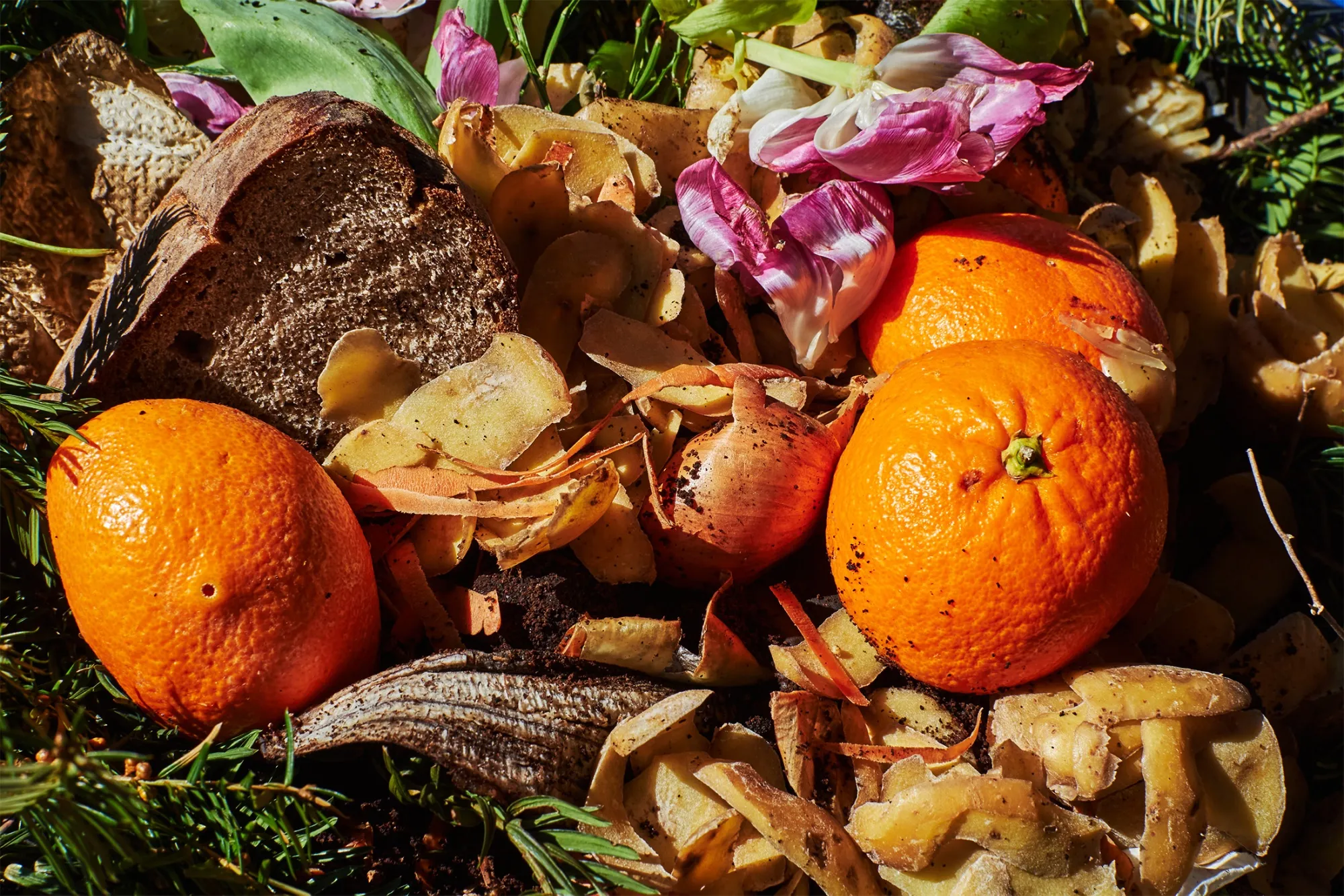 The US produced 91 million tons of surplus food in 2021, a 4.8% increase over 2016.