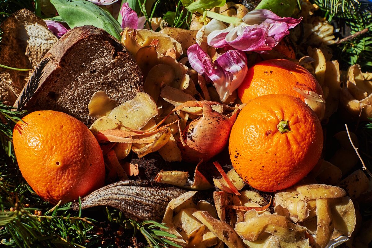 the-us-has-a-food-waste-problem-and-it-s-getting-worse-bloomberg