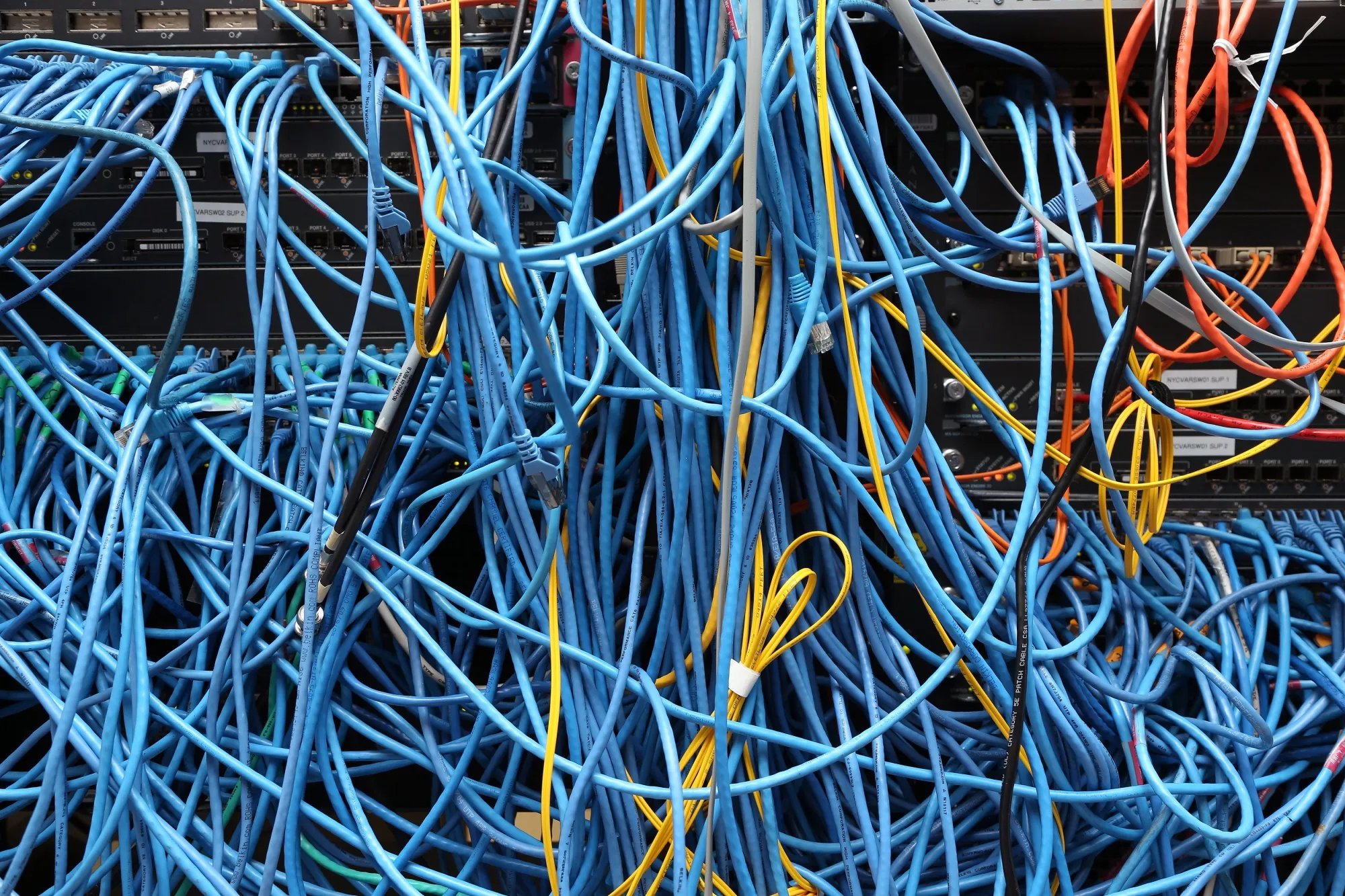 The network.