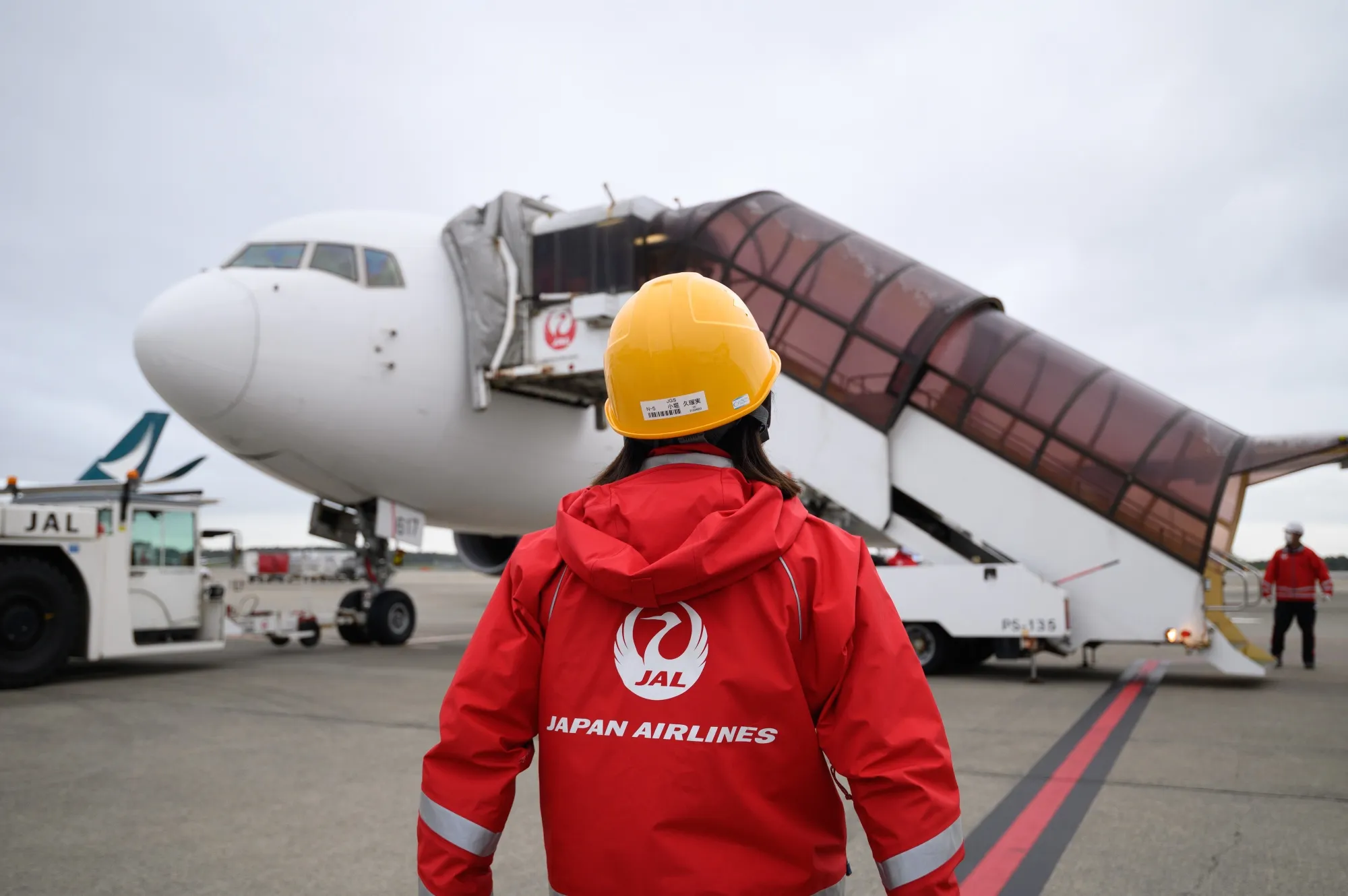 Japan Airlines Fly Sightseeing Flight With Unused Plane
