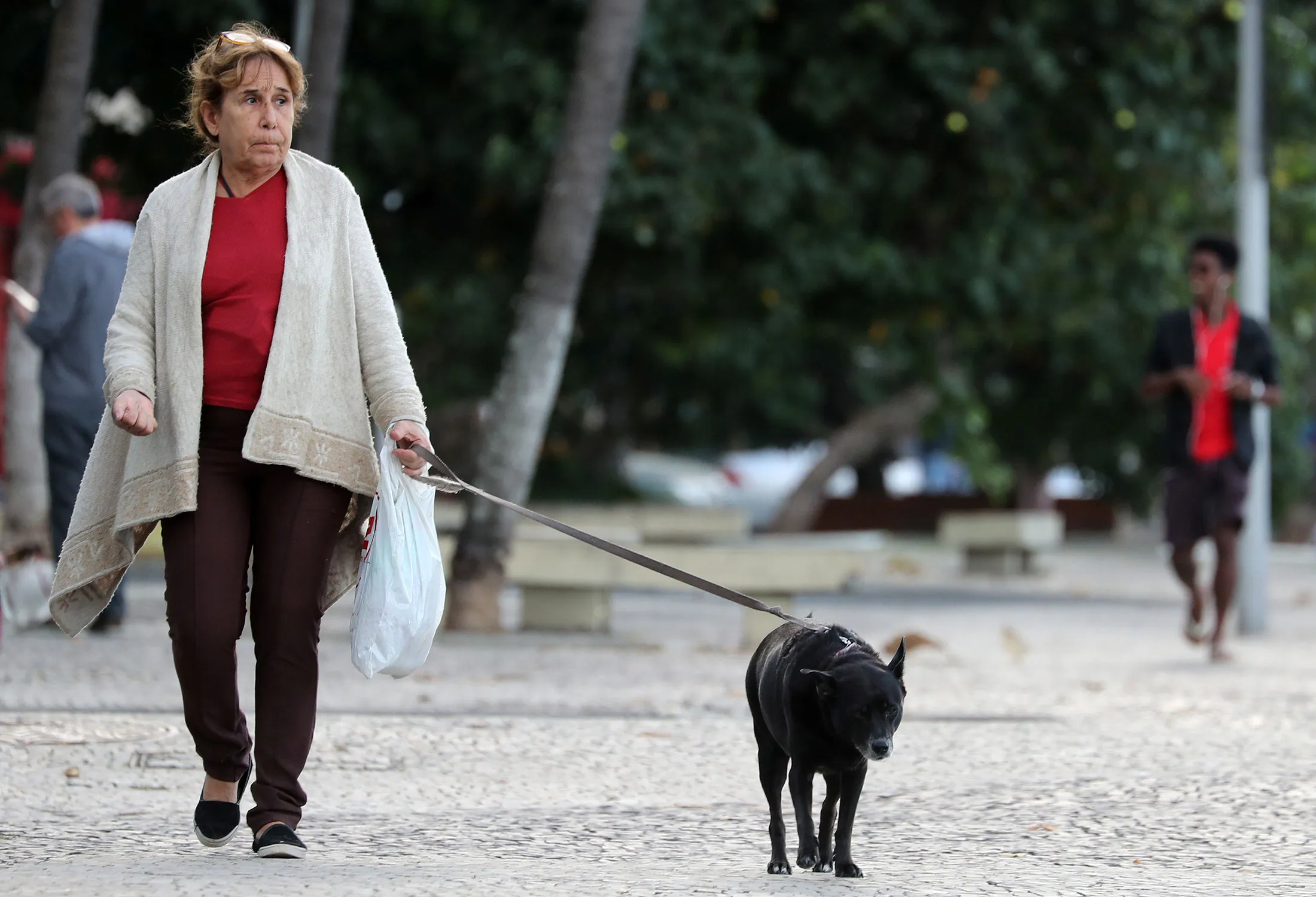 A woman walks her dog in the Copacabana neighborhood of Rio de Janeiro.